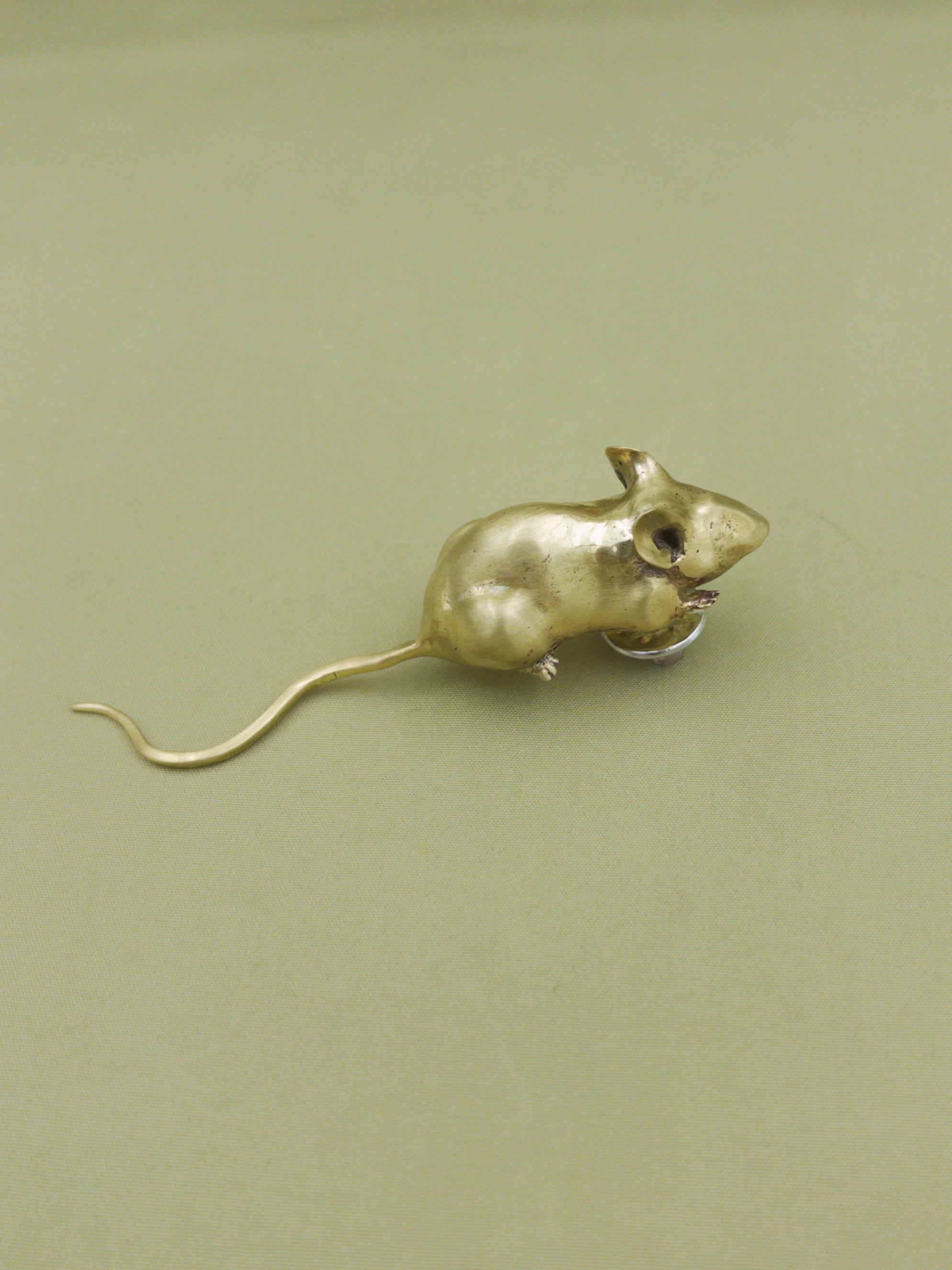 little mouse