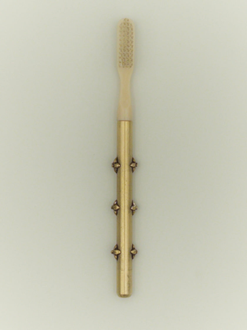 Toothbrush handle